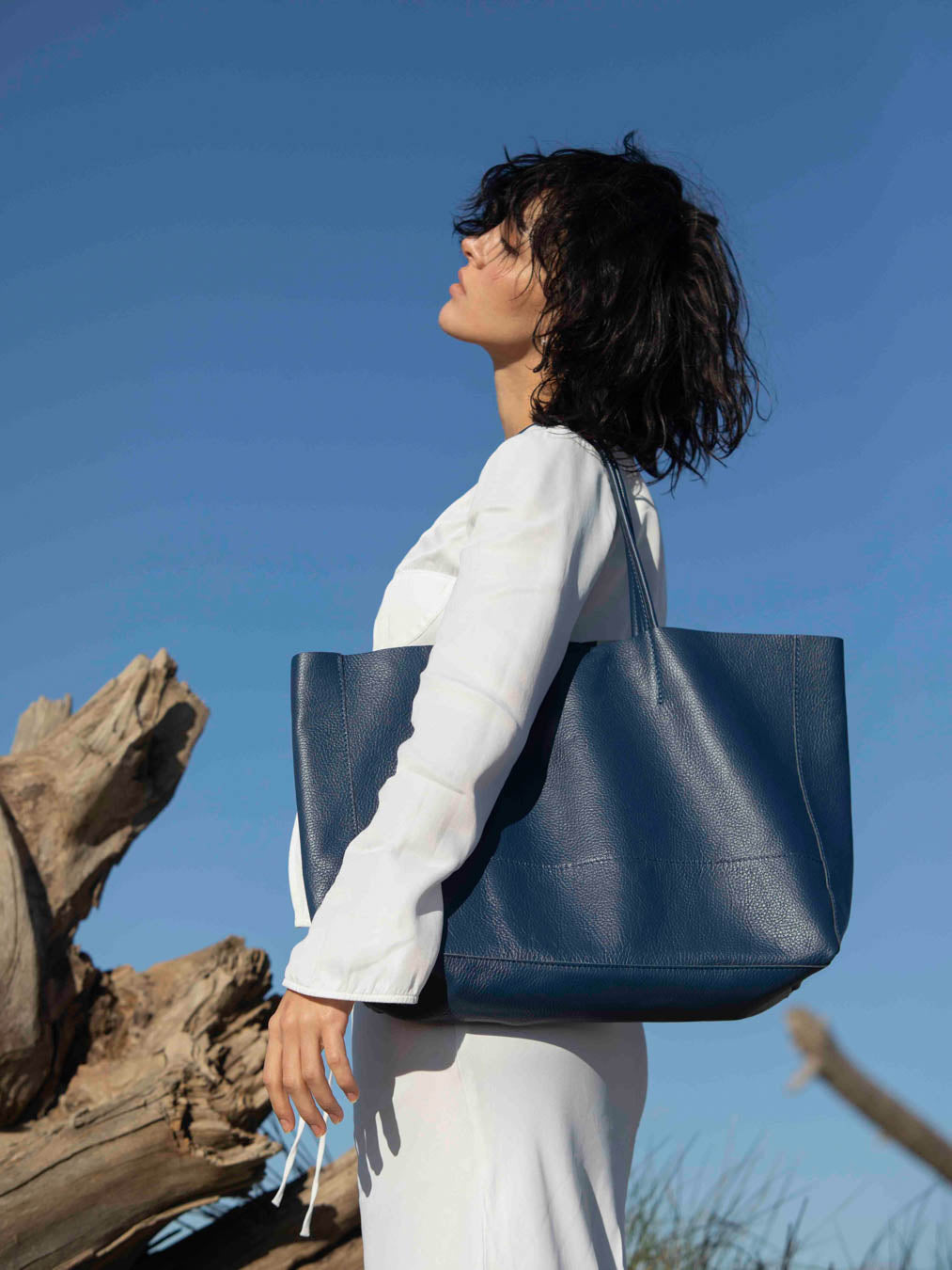 Die Carryall Leder-Tasche