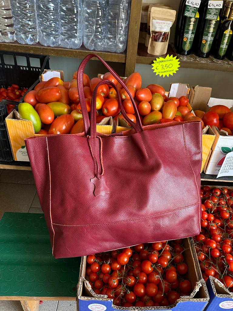 Die Carryall Leder-Tasche