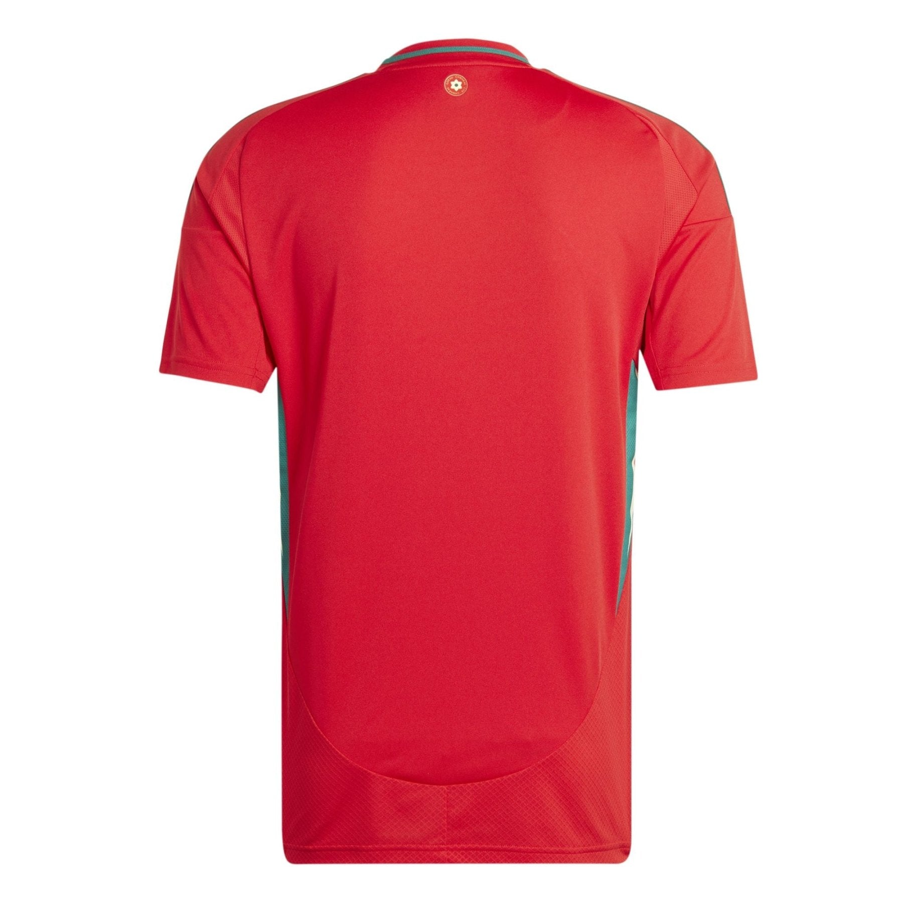 FAW WALES Heim-Trikot Kinder 24 / 25