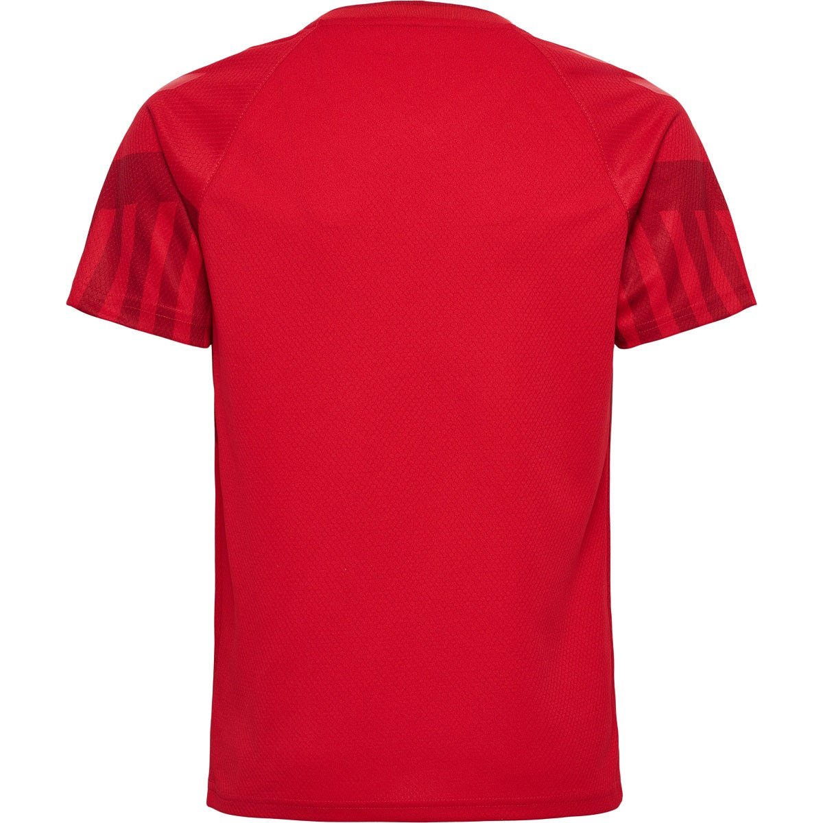 DÄNEMARK Heim-Trikot Kinder Weltmeisterschaft 2022