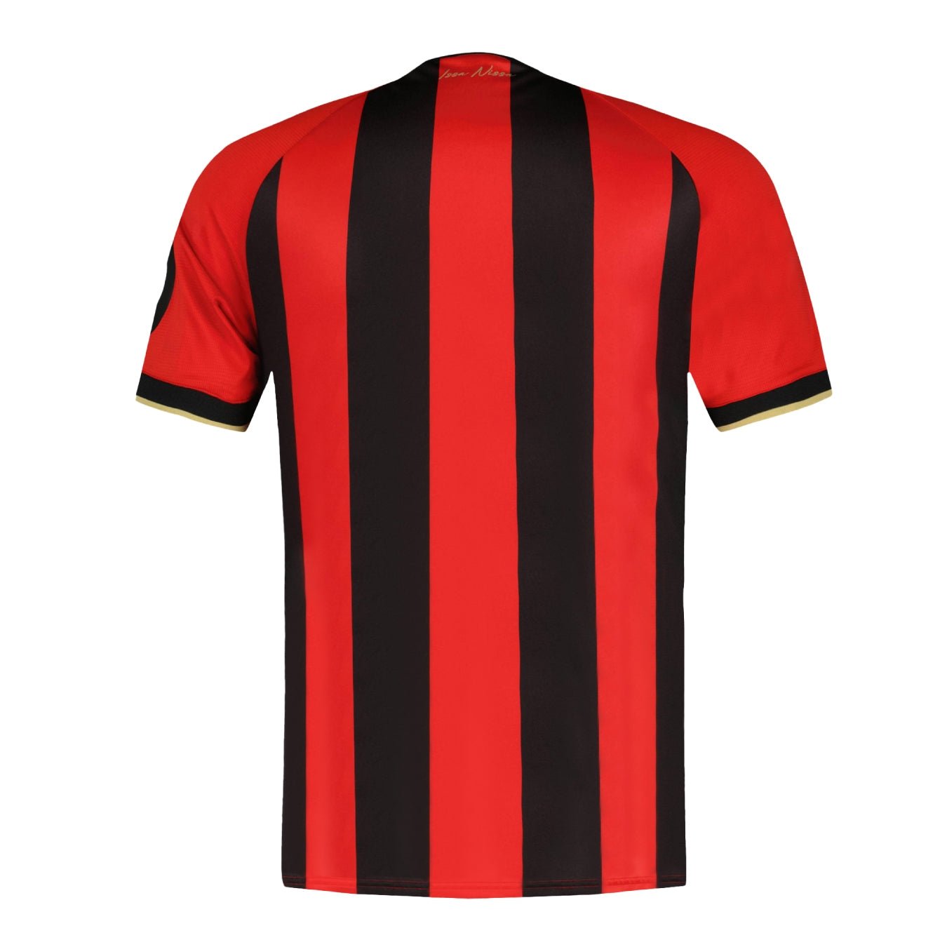 OGC Nice Heimtrikot Herren 24 / 25