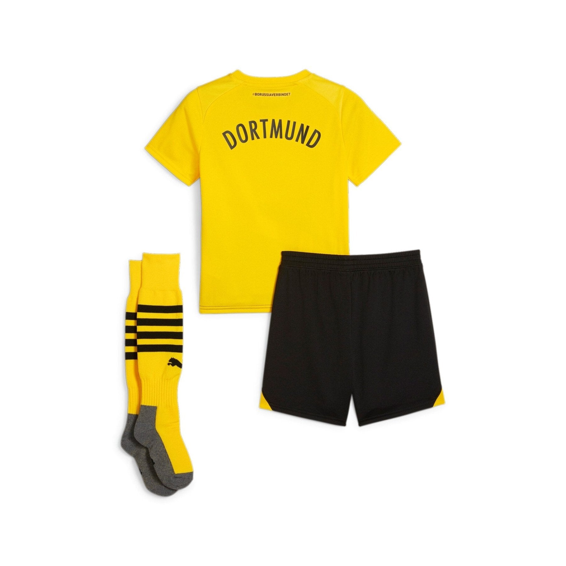BVB BORUSSIA DORTMUND Mini Kit Home 23 / 24