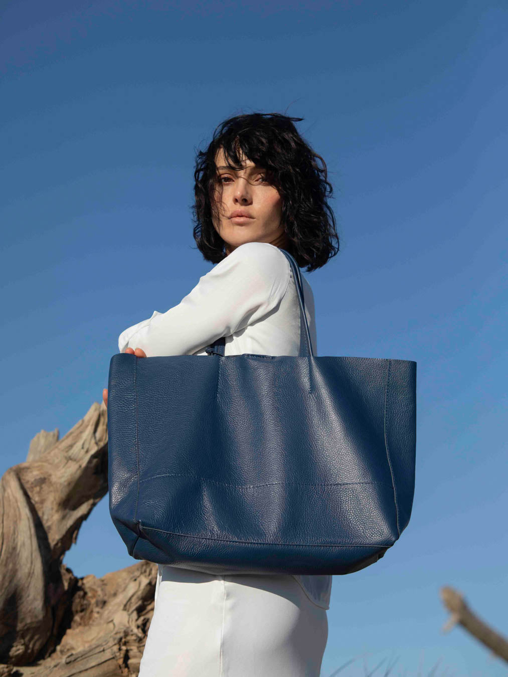 Die Carryall Leder-Tasche