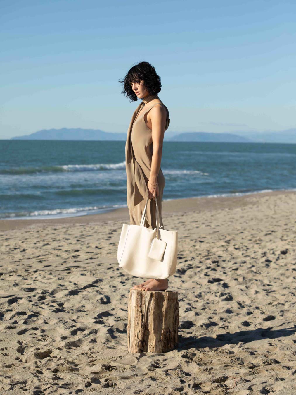 Die Carryall Leder-Tasche