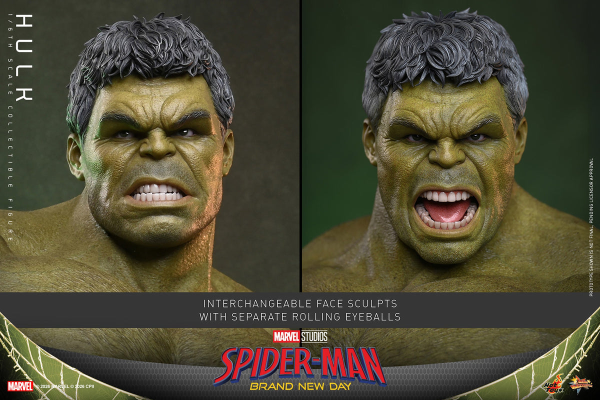 Hulk (Spider-Man: Brand New Day) 1/6-Skala-Actionfigur - Hot Toys