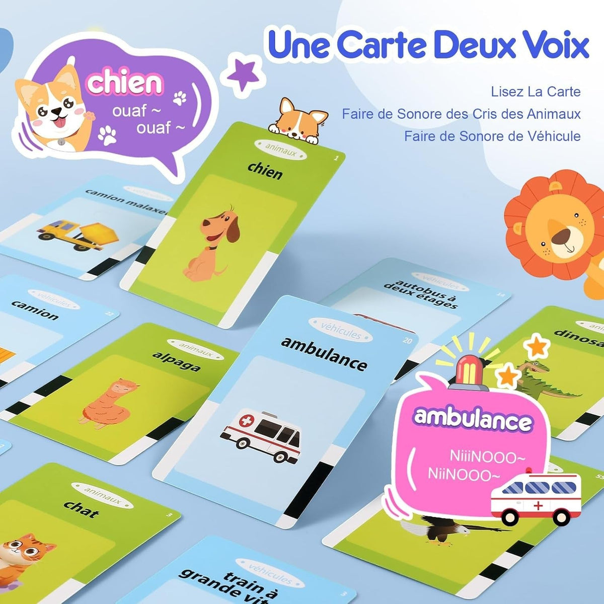 Montessori Talking Educational Flashcards